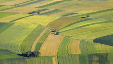 Agricoltura nuova startup