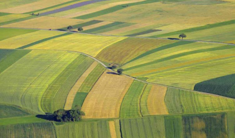 Agricoltura nuova startup