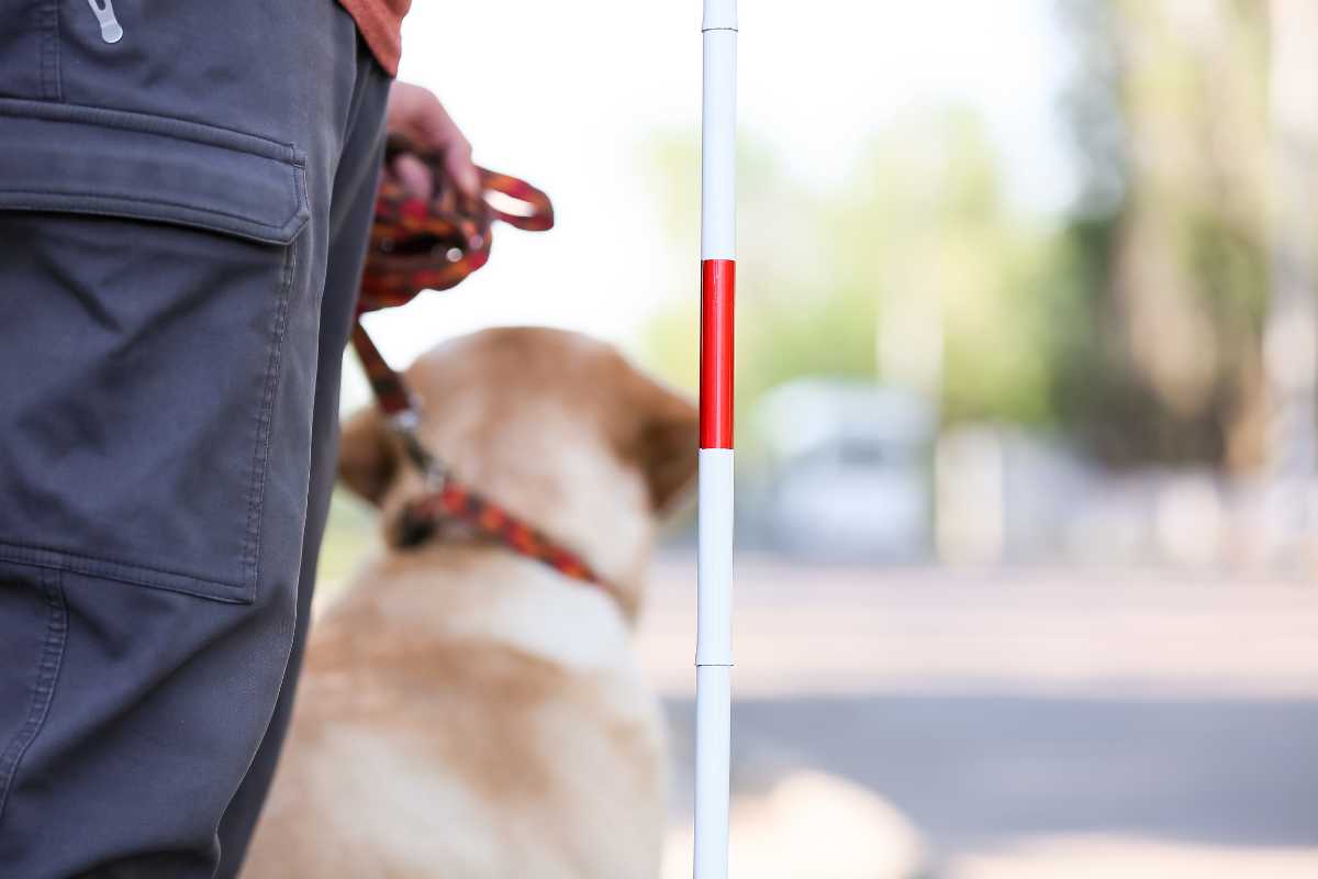 non vedente con cane guida